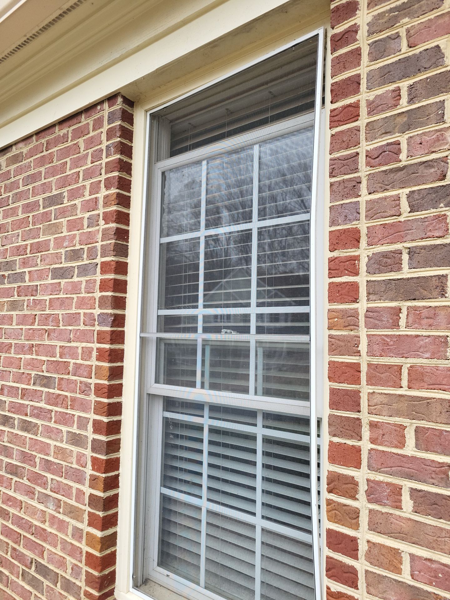 Vinyl Window Replacement in Arlington, VA